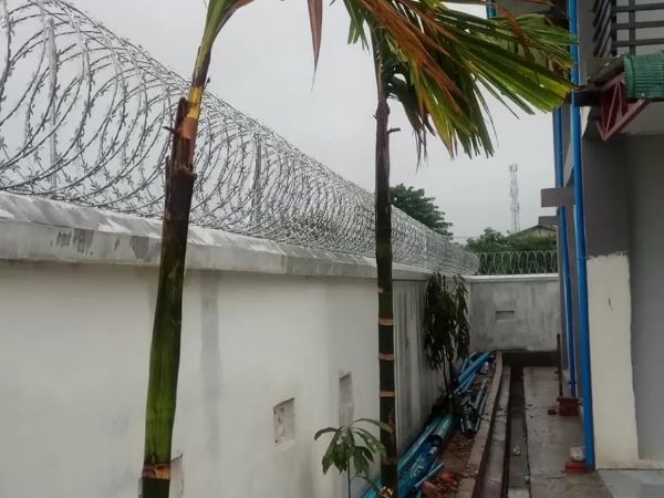 Fish-hook blade concertina wire coils are installed on the factory wall.