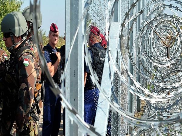 Se instalan cables de concertina de hoja larga en el suelo para la defensa militar.