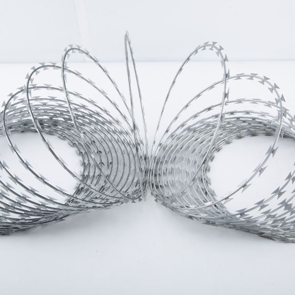 A single coil razor wire roll is displayed.